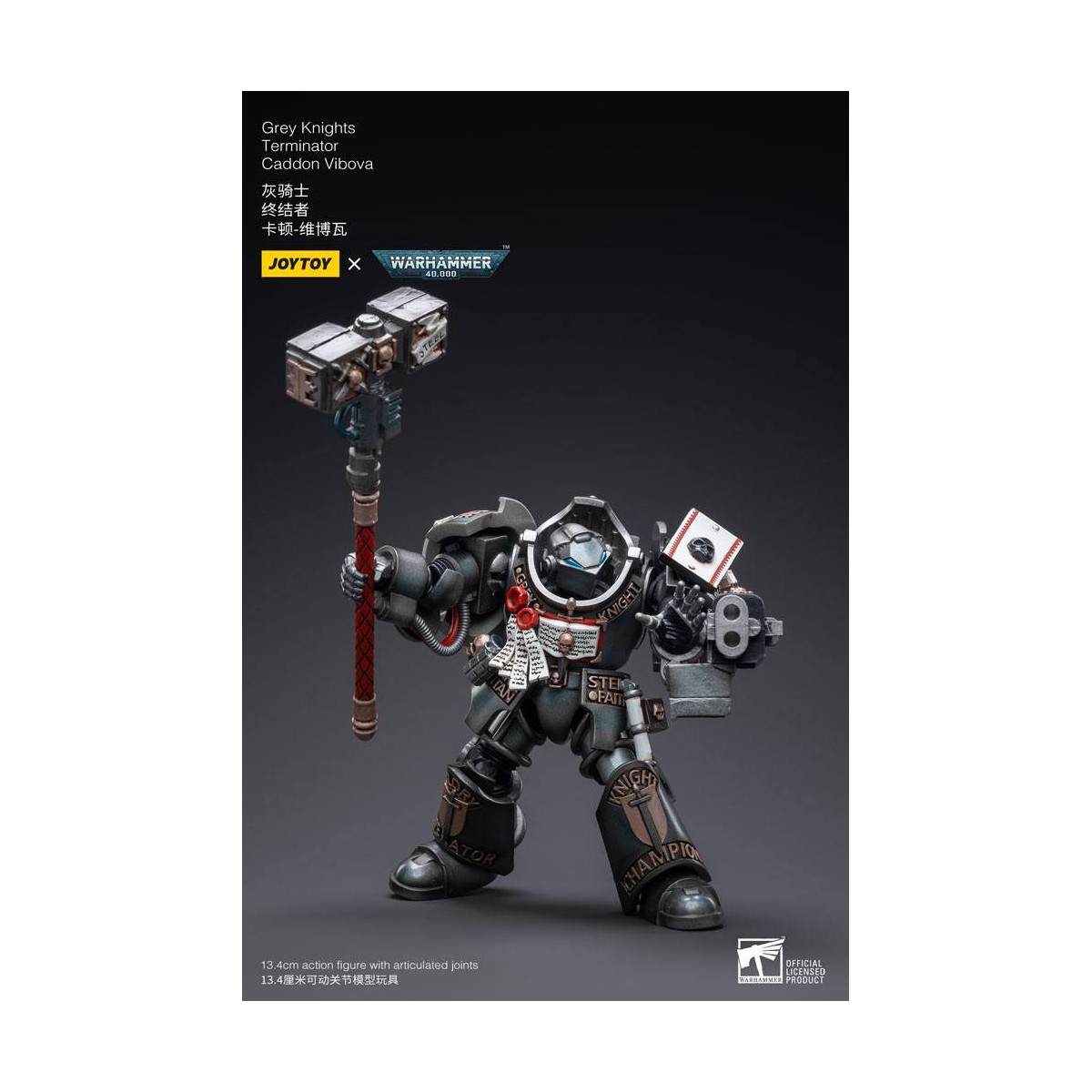 JoyToy Marines Espaciales - Terminators Caballeros Grises - Caddon Vibova 1/18 - Warhammer 40K