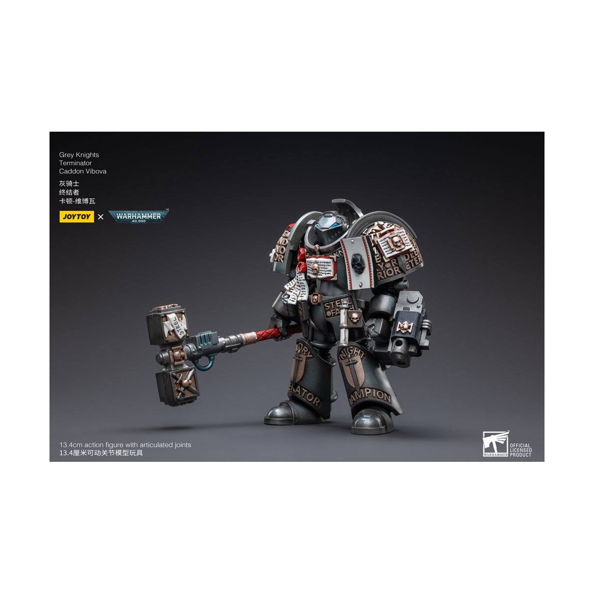 JoyToy Marines Espaciales - Terminators Caballeros Grises - Caddon Vibova 1/18 - Warhammer 40K