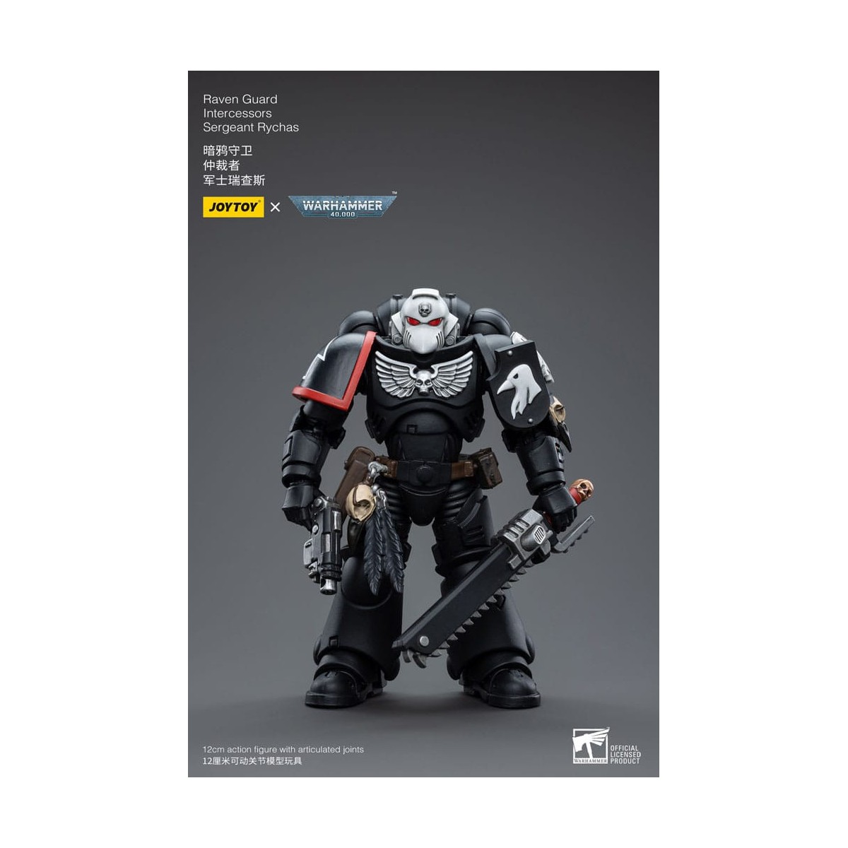 JoyToy Marines Espaciales - Guardia Cuervo - Intercesores Sargento Rychas 1/18 - Warhammer 40K