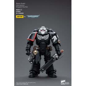 JoyToy Marines Espaciales - Guardia Cuervo - Intercesores Sargento Rychas 1/18 - Warhammer 40K