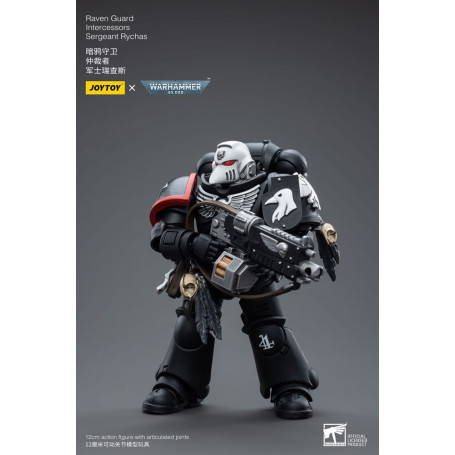 JoyToy Marines Espaciales - Guardia Cuervo - Intercesores Sargento Rychas 1/18 - Warhammer 40K