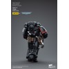 JoyToy Marines Espaciales - Guardia Cuervo - Intercesores Hermano Colvane 1/18 - Warhammer 40K