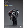 JoyToy Marines Espaciales - Guardia Cuervo - Intercesores Hermano Colvane 1/18 - Warhammer 40K