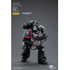 JoyToy Marines Espaciales - Guardia Cuervo - Intercesores Hermano Colvane 1/18 - Warhammer 40K