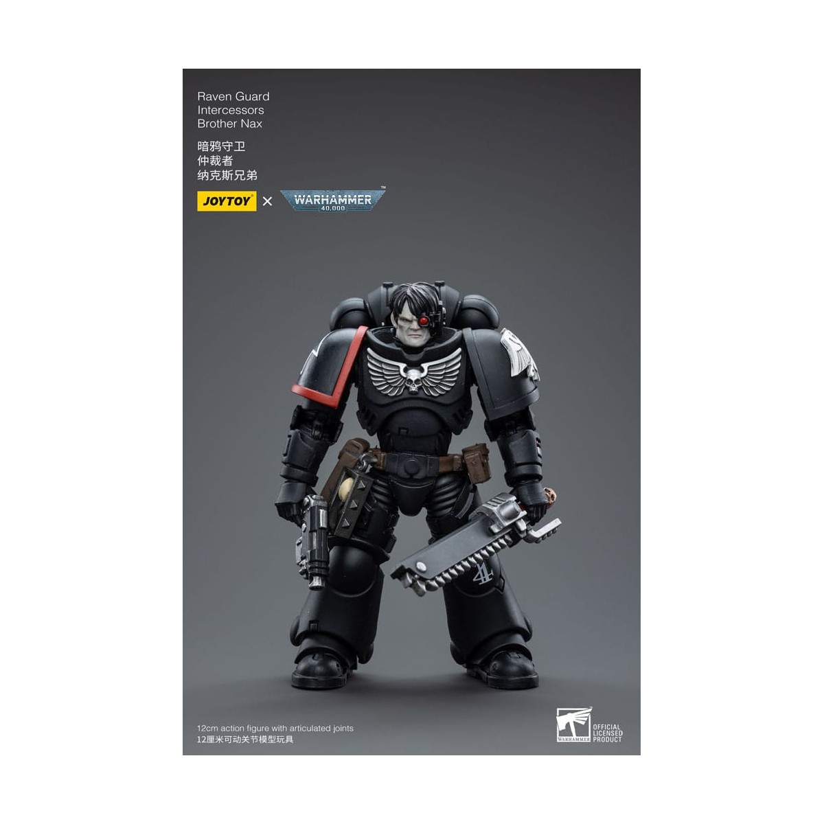 JoyToy Marines Espaciales - Guardia Cuervo - Intercesores Hermano Nax 1/18 - Warhammer 40K