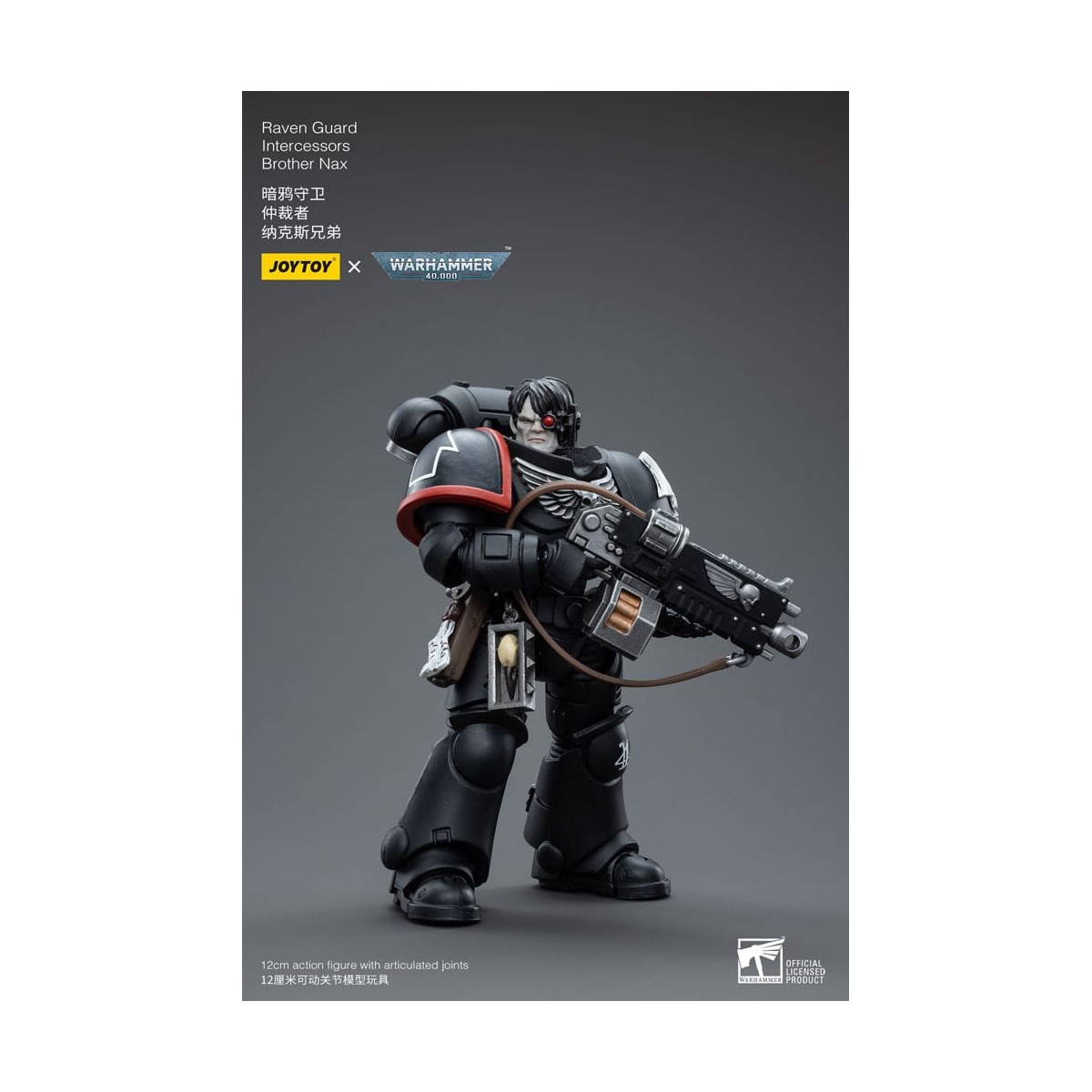 JoyToy Marines Espaciales - Guardia Cuervo - Intercesores Hermano Nax 1/18 - Warhammer 40K