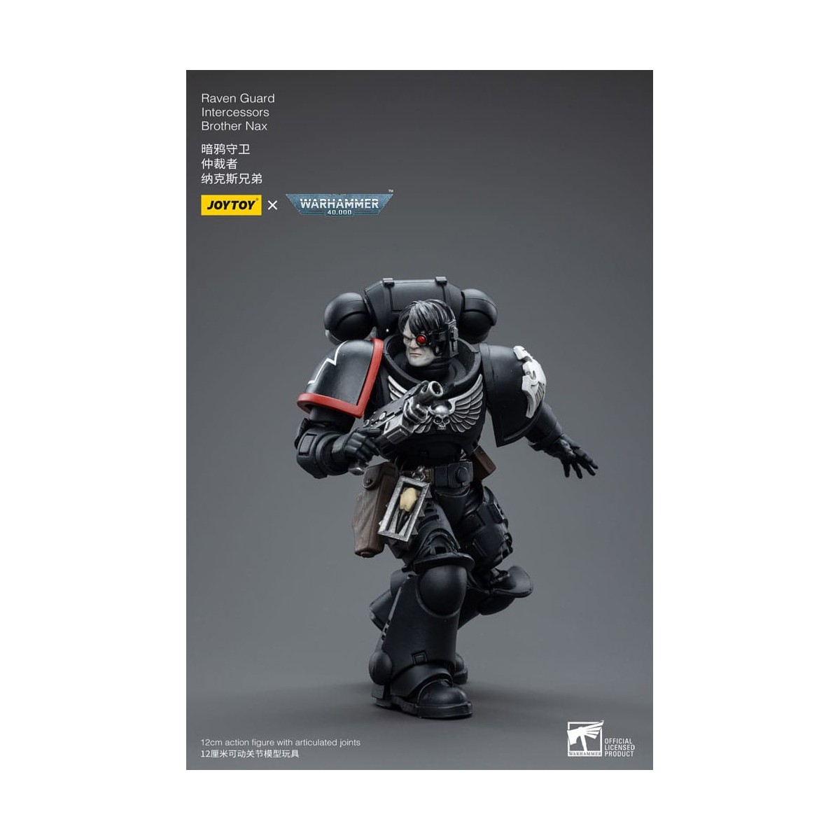 JoyToy Marines Espaciales - Guardia Cuervo - Intercesores Hermano Nax 1/18 - Warhammer 40K