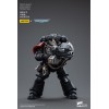 JoyToy Marines Espaciales - Guardia Cuervo - Intercesores Hermano Nax 1/18 - Warhammer 40K