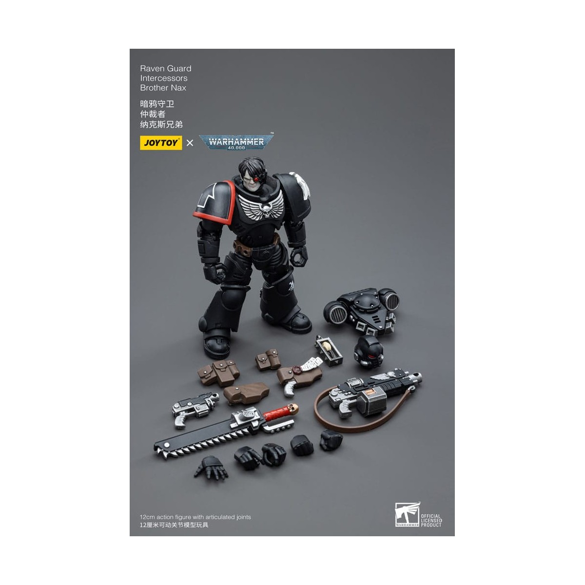 JoyToy Marines Espaciales - Guardia Cuervo - Intercesores Hermano Nax 1/18 - Warhammer 40K