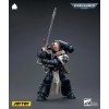 JoyToy Marines Espaciales - Templarios Negros - El Campeón del Emperador La Venganza de Bayard 1/18 - Warhammer 40K