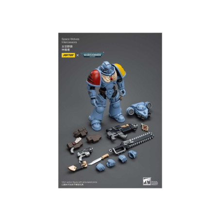 JoyToy Marines Espaciales - Lobos Espaciales - Intercesores 1/18 - Warhammer 40K