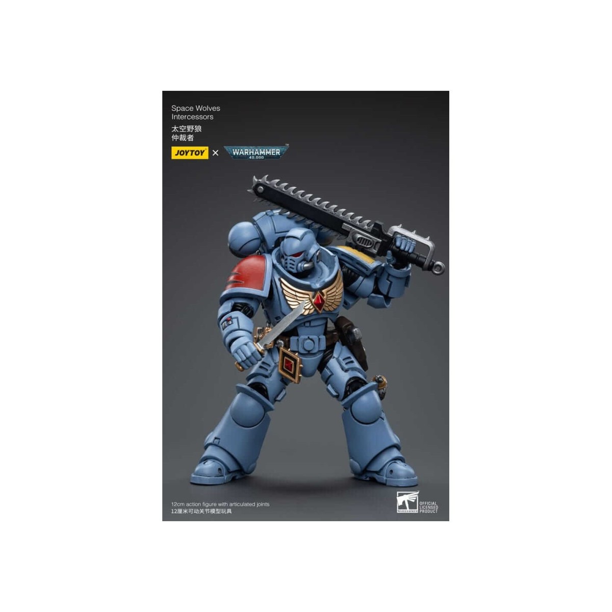 JoyToy Marines Espaciales - Lobos Espaciales - Intercesores 1/18 - Warhammer 40K
