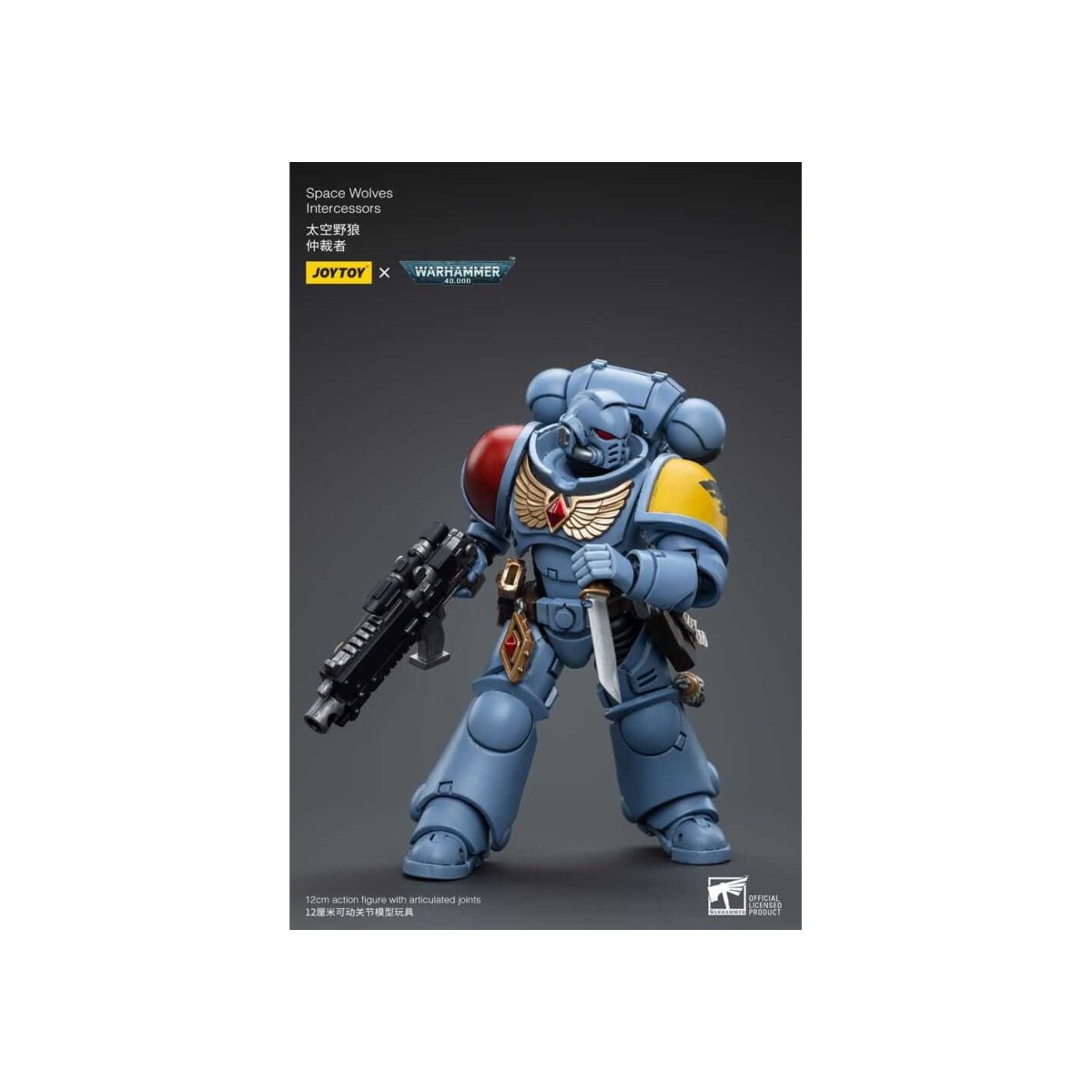 JoyToy Marines Espaciales - Lobos Espaciales - Intercesores 1/18 - Warhammer 40K