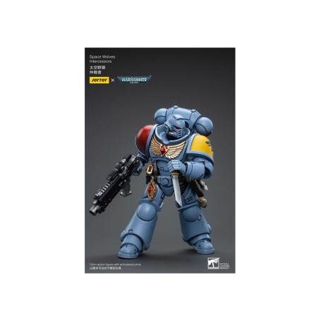 JoyToy Marines Espaciales - Lobos Espaciales - Intercesores 1/18 - Warhammer 40K