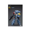 JoyToy Marines Espaciales - Lobos Espaciales - Intercesores 1/18 - Warhammer 40K