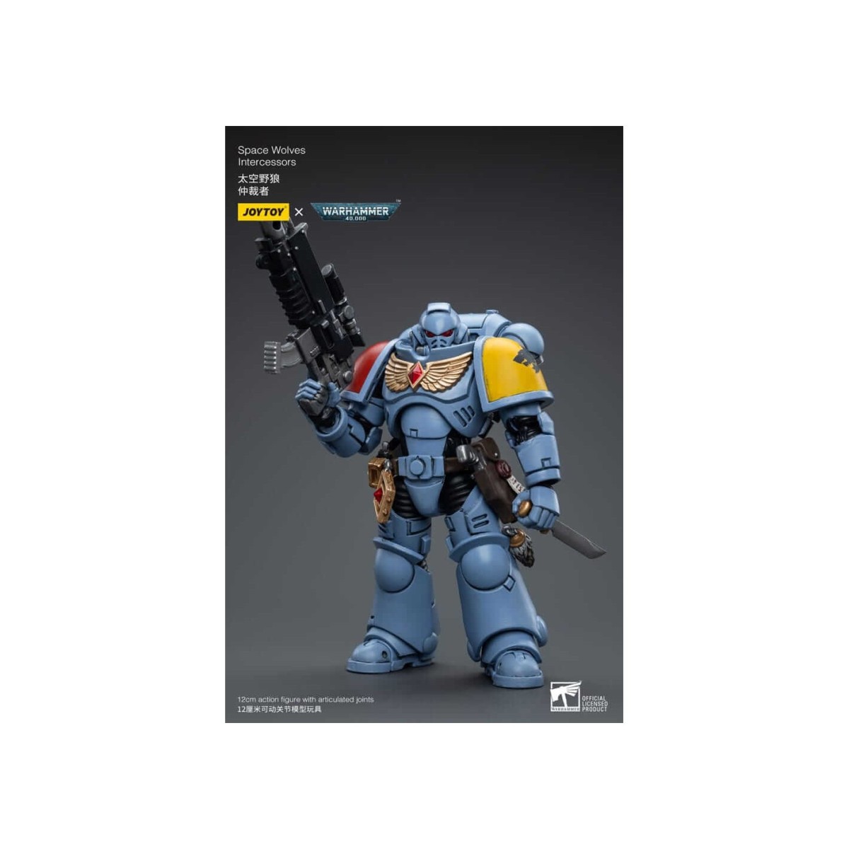 JoyToy Marines Espaciales - Lobos Espaciales - Intercesores 1/18 - Warhammer 40K