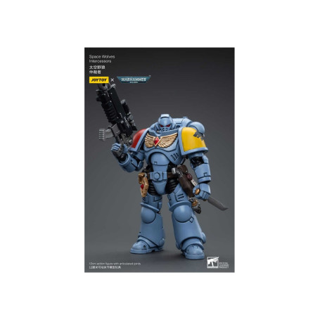 JoyToy Marines Espaciales - Lobos Espaciales - Intercesores 1/18 - Warhammer 40K