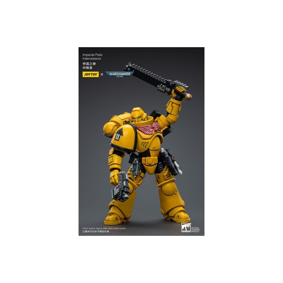 JoyToy Marines espaciales - Puños Imperiales 2 - Intercesores 1/18 - Warhammer 40K