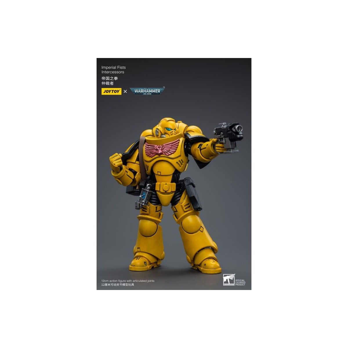 JoyToy Marines espaciales - Puños Imperiales 2 - Intercesores 1/18 - Warhammer 40K