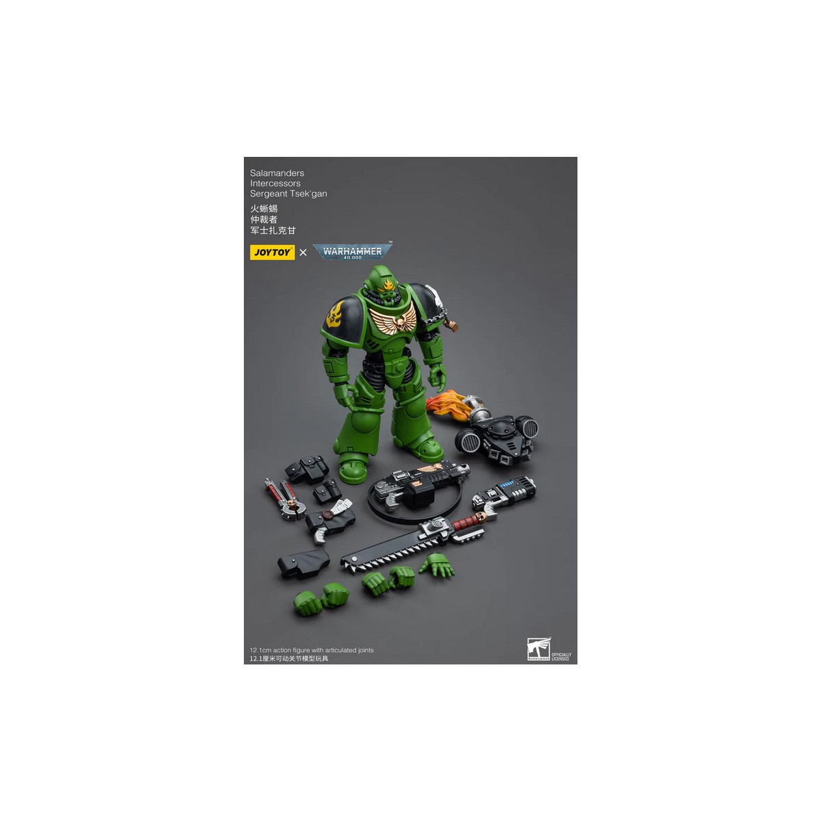 JoyToy Marines Espaciales - Salamandras - Sargento Intercesor Tsek'gan 1/18 - Warhammer 40K