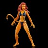Marvel Legends Series - Colección Los Vengadores Costa Oeste 5 Pack